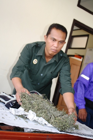 Polres RL Amankan 2 Kg Ganja