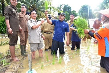 Walikota Gertak Rawa Makmur