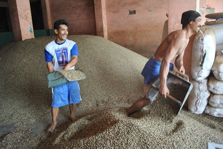 Penjualan Kopi Mandeg