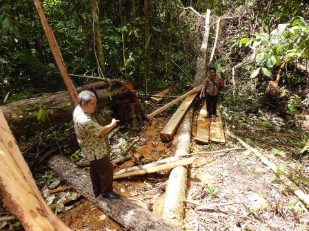 Petani Hutan Kota Diobservasi