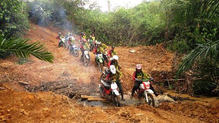 Hutan Lindung Dibabat