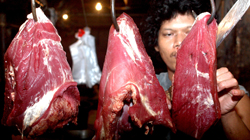 Bulog Jamin Daging Sapi Beku Australia Halal