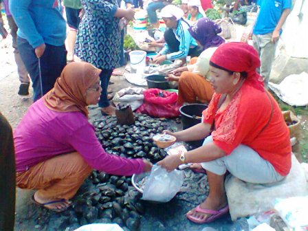 Harga Ikan Laut Melonjak