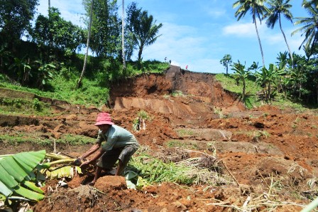 Sawah Tertimbun Longsor