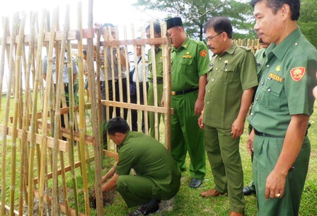 Hijaukan Pantai, Tanam 50 Cemara