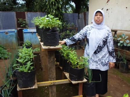 Belajar Pertanian di Sekolah