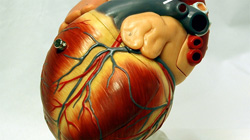 Susah Ereksi dan Mulai Botak? Waspadai Serangan Jantung