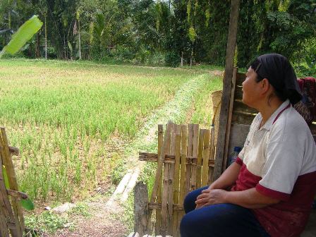 Petani Mulai Masuki Masa Paceklik