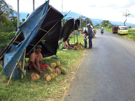 Melirik Musim Durian