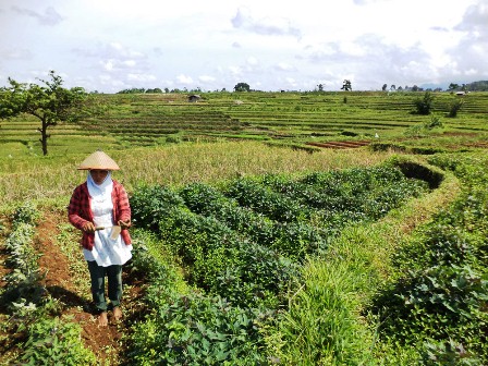 Petani Keluhkan Irigasi