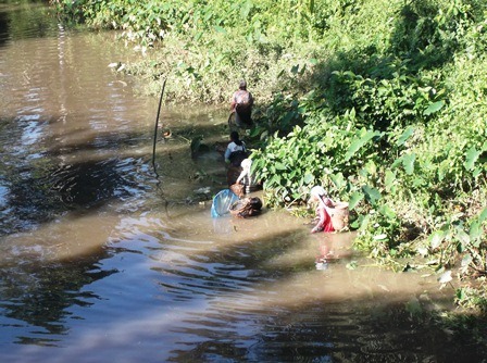 Ikan Mati Bukan Karena Limbah PT SBS