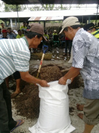 Kulit Kopi Jadi Pakan Sapi