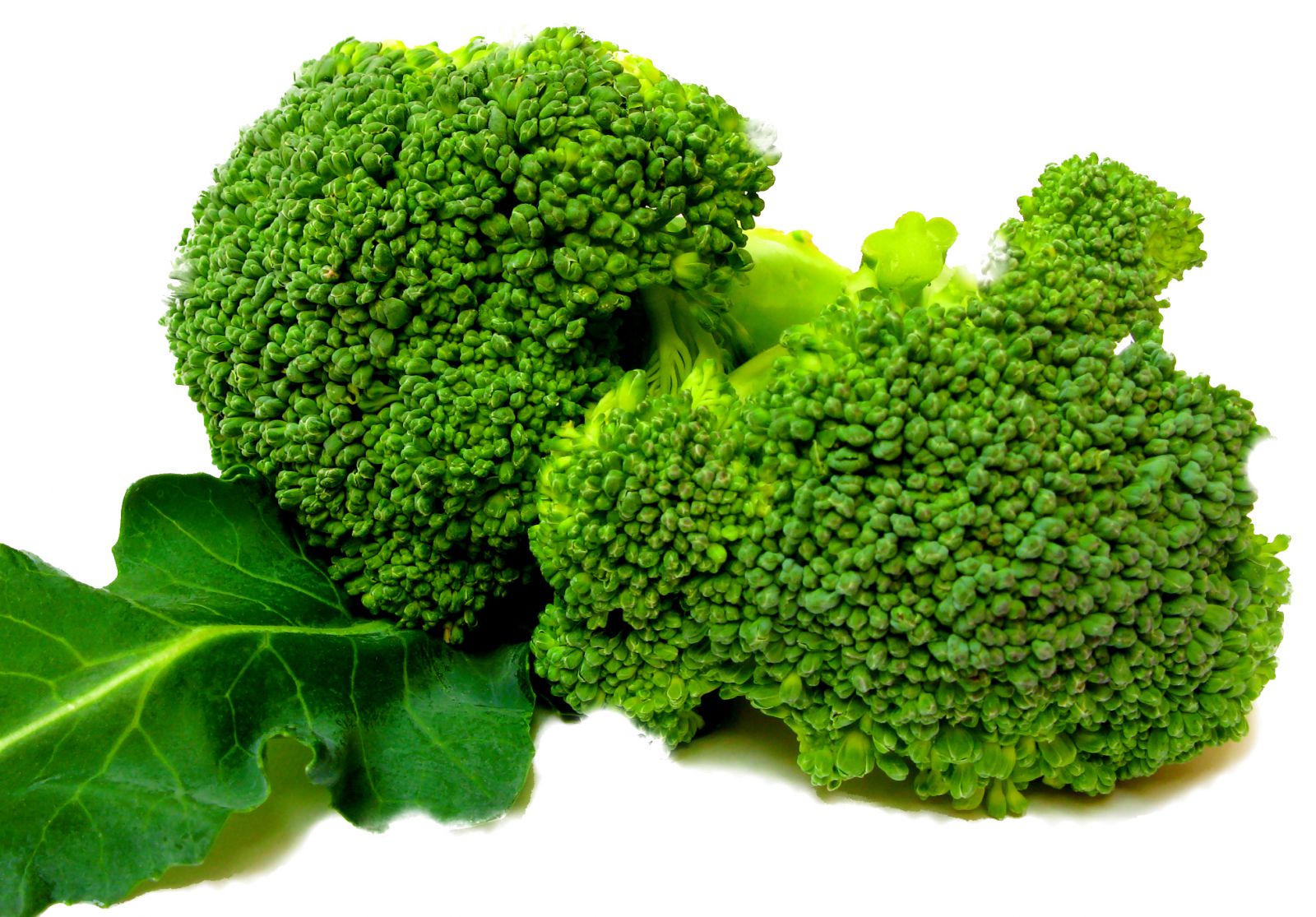 Brokoli Bisa Buat Alternatif Obat Asma