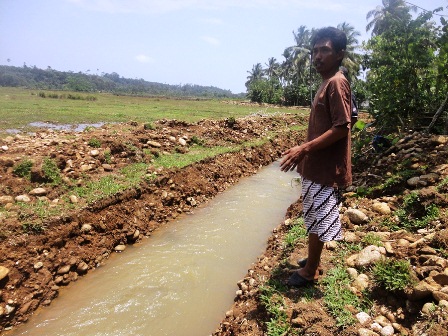 Sawah 3 Desa Terancam Kekeringan