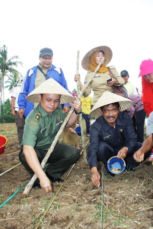 RL Dijadikan Basis Pertumbuhan Kedelai