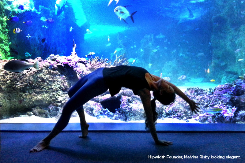 Yoga Bawah Laut Bareng Hiu Macan