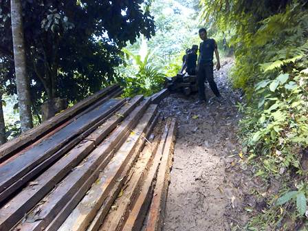 Polhut Datangi Perambah Hutan