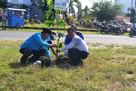 Jadikan Bulan Menanam Pohon