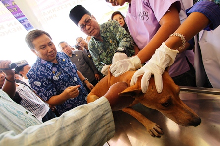 Bengkulu Endemik Rabies