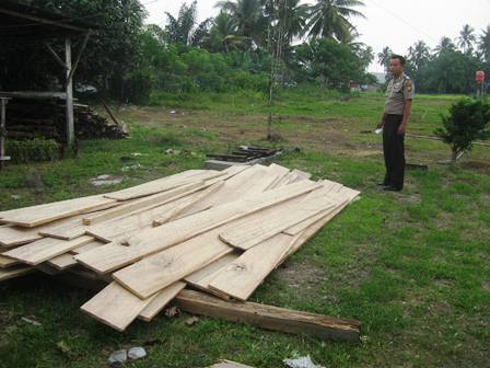 Pemilik dan Kayu 2,5 M3 Diamankan