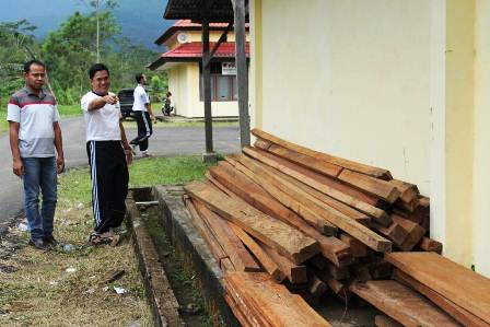 Oknum Polhut Diduga Terlibat Kayu Ilegal