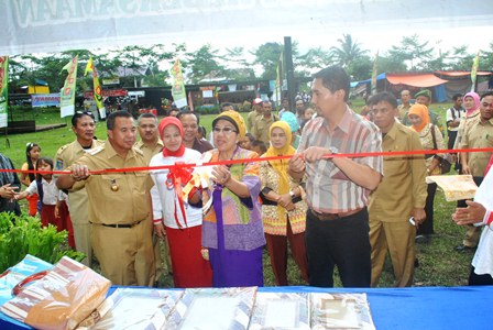 Wayangan, Ramaikan Pembagian Sertifikat Tanah