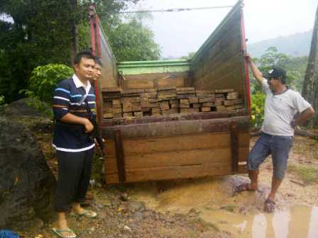 Polres Seluma Amankan 10 Kubik Kayu