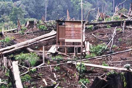 Hutan Gundul, TNKS Dijadikan Ladang