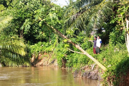 Rumah Warga Terancan Sungai Lemau