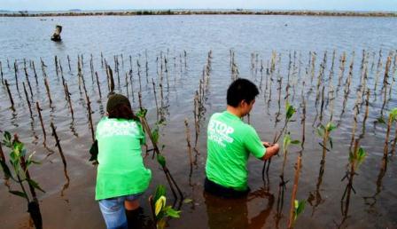 Pantai Pasar Sebelah Ditanami Bakau