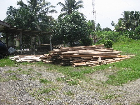 Ratusan  Batang Kayu Diamankan