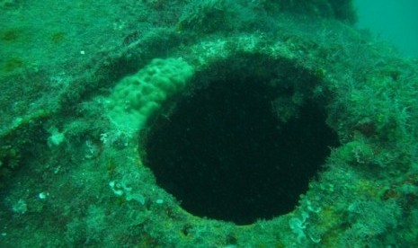 Bangkai Kapal Nazi Terkubur di Laut Jawa