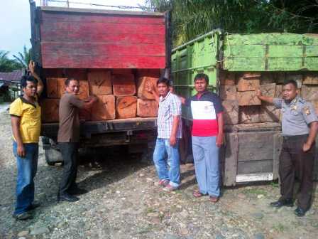 Muat Kayu, 2 Warga Diringkus