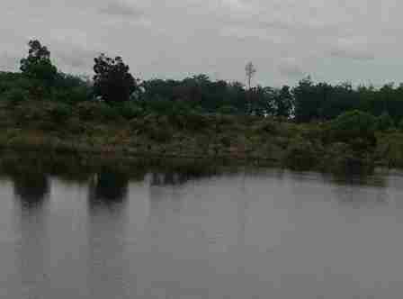 Kawasan Danau Nibung Dirambah