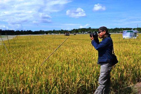 Sawah Terancam Kekeringan