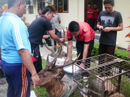 Polisi Buru  Pembunuh Harimau