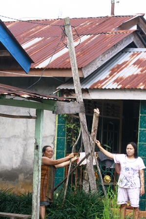 Tiang Listrik dari Kayu