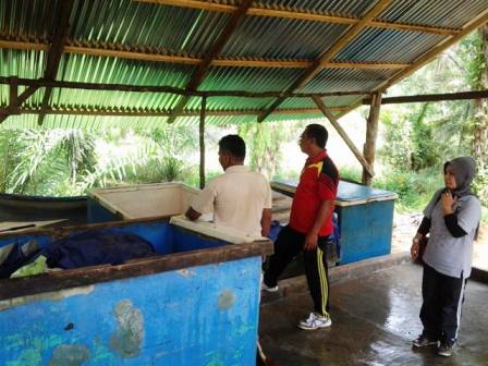 Lokasi Usaha Daging Babi Disidak