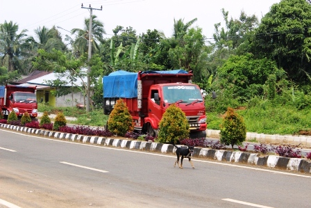 Batubara Belum Miliki Rute