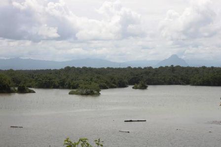 Danau Gedang Wisata Andalan