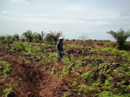 Tabat Bengkulu – Sumbar Diselesaikan