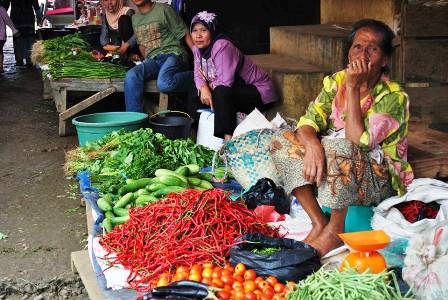 Harga Cabai Terjun Bebas