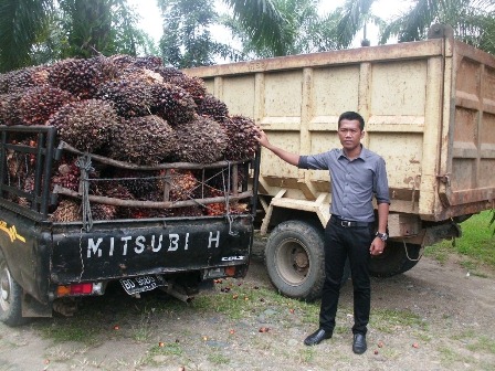 Pencurian Sawit Marak