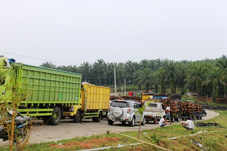 Didemo Karyawan, Manajer SBS Gagal Dipecat