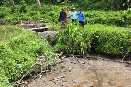 Kolam Ikan Dipanen Maling