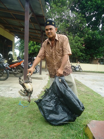 Ayam Curian Dijual di Pasar Panorma