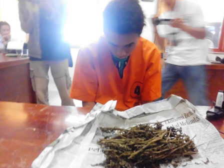 Jual Ganja di Bengkulu, Warga Curup Diciduk