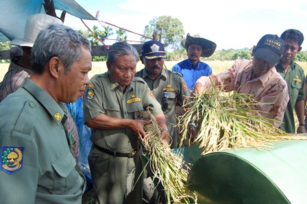 Mukomuko Belum Mampu Produksi Beras