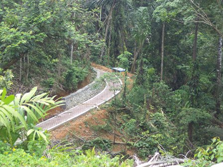 Hijaukan Lahan Gundul