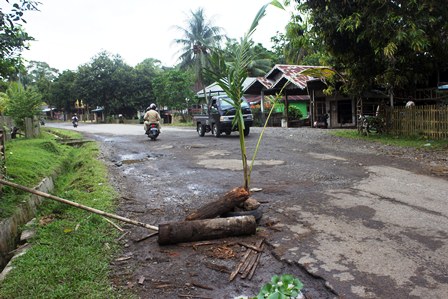 Jalan Raya Ditanam Kelapa